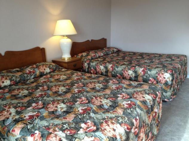 Lotus Motel Cobourg Ngoại thất bức ảnh